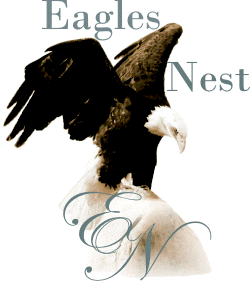 Eagles Nest Logo